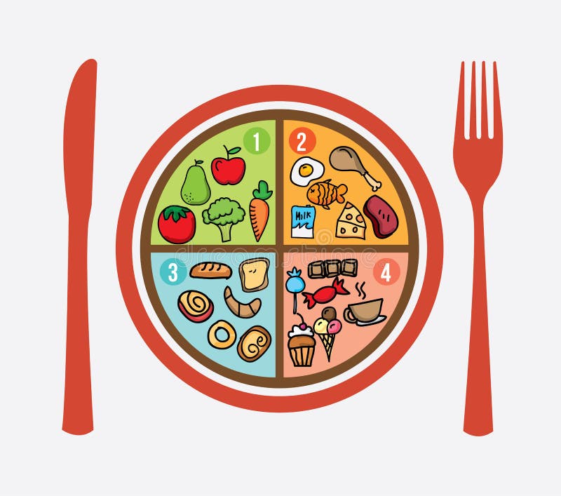 Food My Plate Lunch Portions Stock Vector - Illustration of grains ...