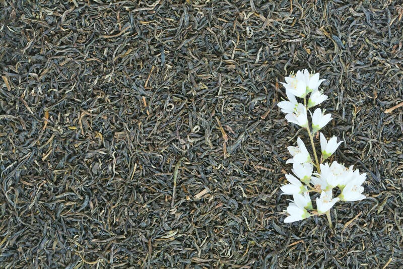 Healthy food background. Green tea with flower.