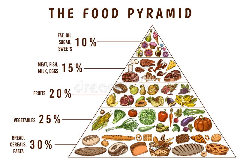 https://thumbs.dreamstime.com/b/healthy-food-plan-pyramid-infographics-balanced-diet-percentage-lifestyle-concept-ingredients-meal-nutrition-guide-hand-drawn-158068373.jpg