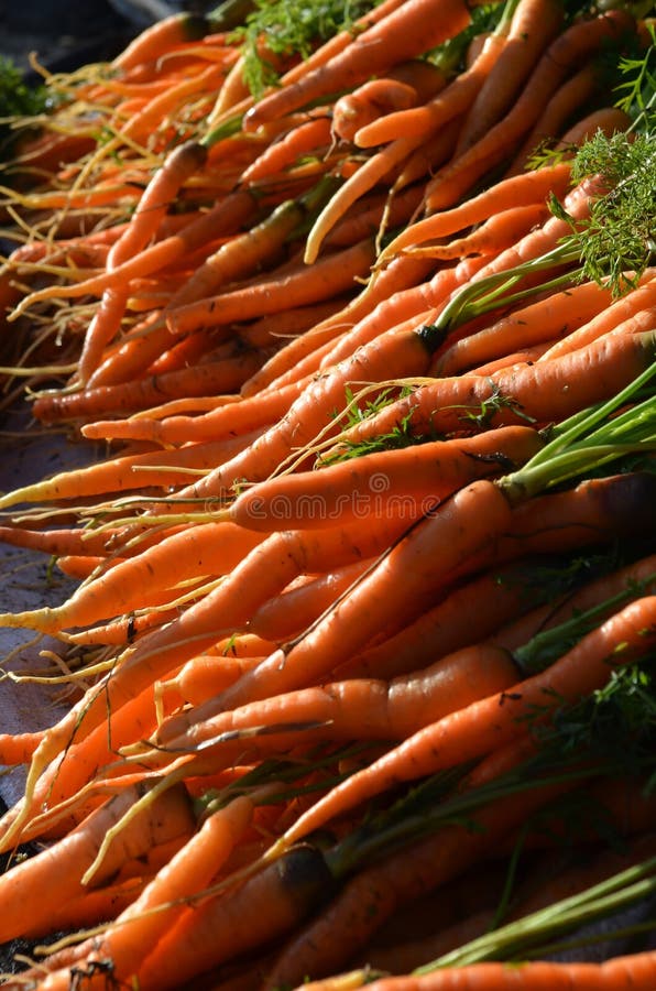 Healthy Food on Traditional Market