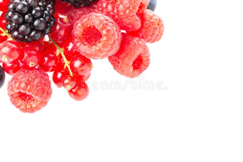 Healthy fresh food berries group. Macro shot of fresh raspberries, blackberries and red currant isolated on white background. Free