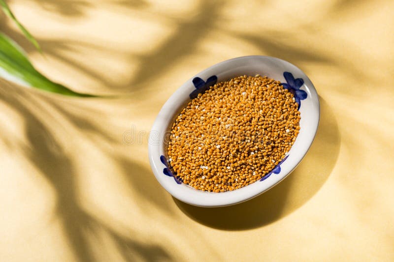 Healthy Grains of Red Millet Served in a Plate on Yellow Background