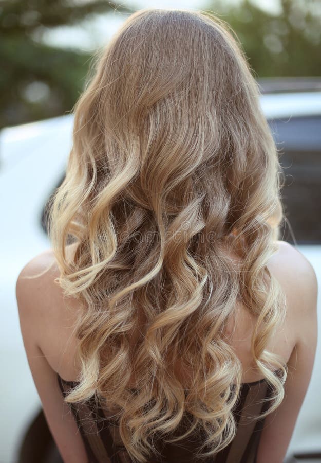 Healthy hair. Curly long hairstyle. Back view of Blond hairs. ha stock image Healthy hair. Curly long hairstyle. Back view of Blond hairs. ha stock image