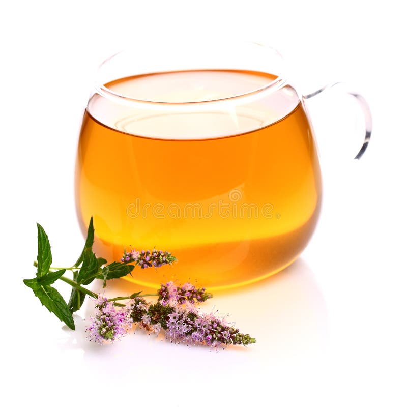 Sweet Herbal Tea and Naturopathy Stock Photo Image of citrus, remedy