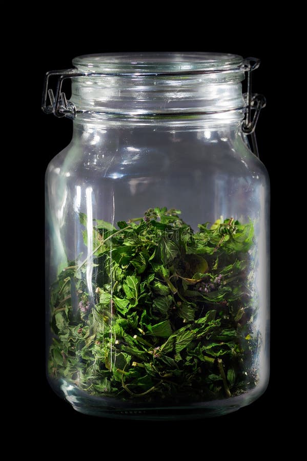 Healthy Homemade Tea Leaves in Glass Container Stock Image Image of
