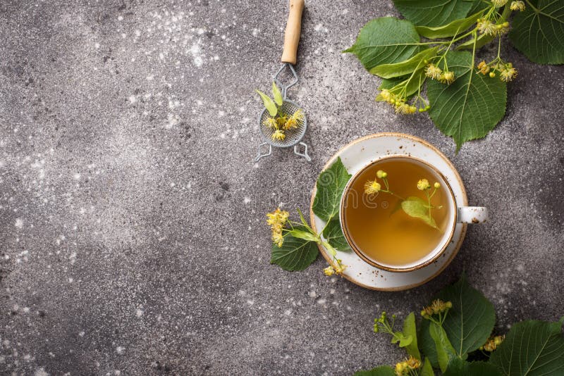 Healthy Hot Linden Tea in Cup Stock Photo Image of plant, natural