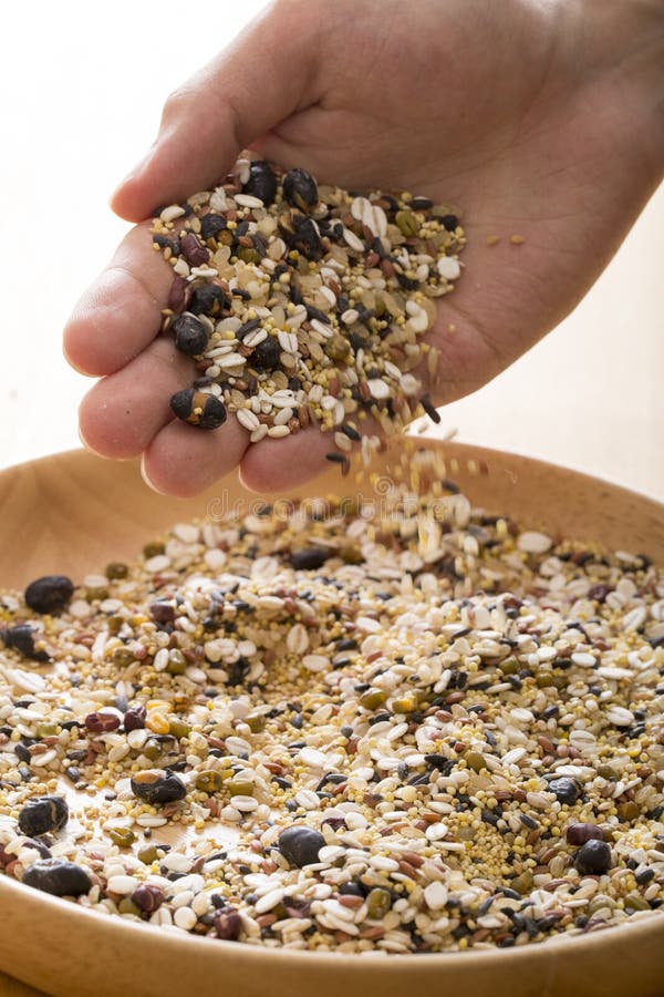 Healthy millet rice stock image. Image of agriculture 166876867