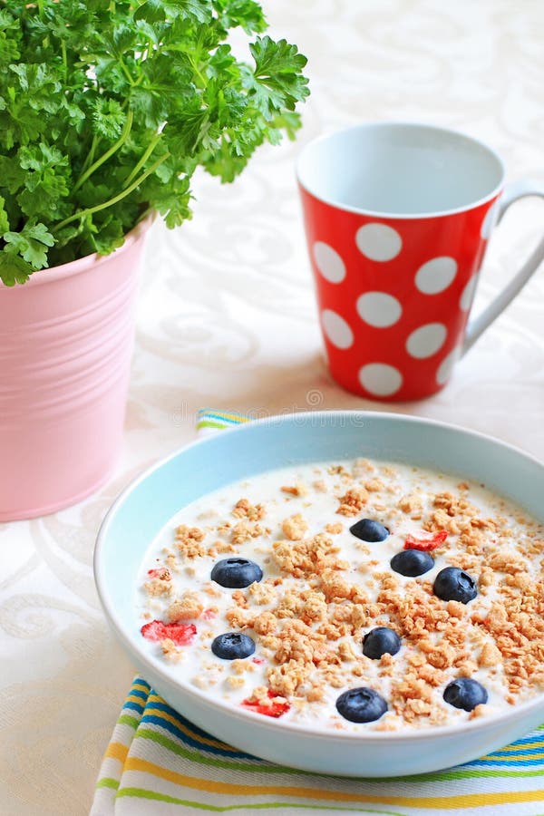 Healthy musil vegetarian breakfast