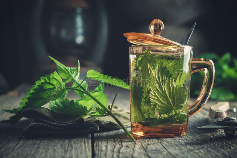 Healthy nettle tea, nettle plants, gloves and garden pruner on old wooden table.