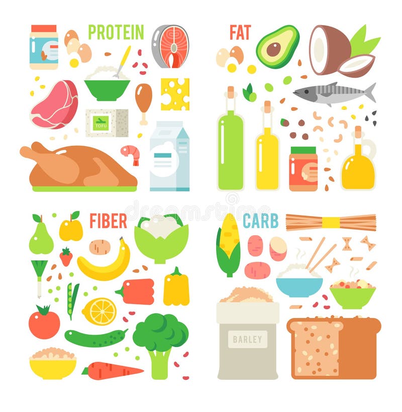 Healthy nutrition, proteins fats carbohydrates balanced diet, cooking, culinary and food concept vector.