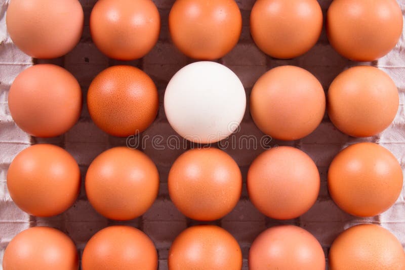 Healthy Organic Eggs stock image. Image of nutrient, healthy 43882805