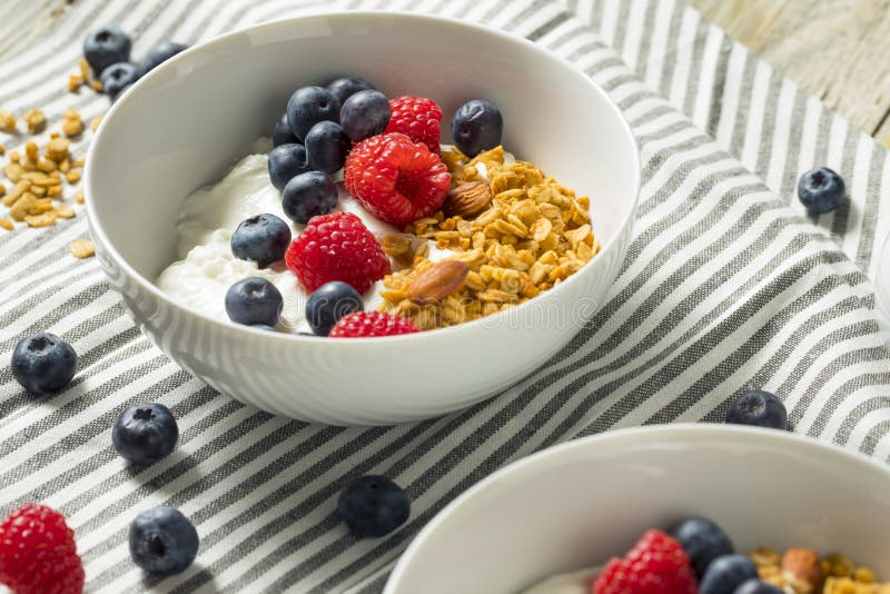 Healthy Organic Greek Yogurt with Granola and Berries Stock Image