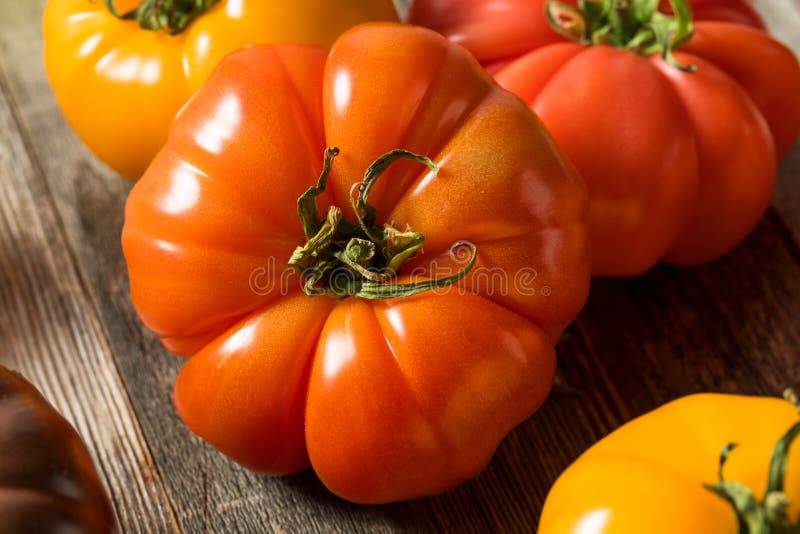 Healthy Organic Heirloom Tomatoes Stock Image Image of tomato, vegetarian 148543465