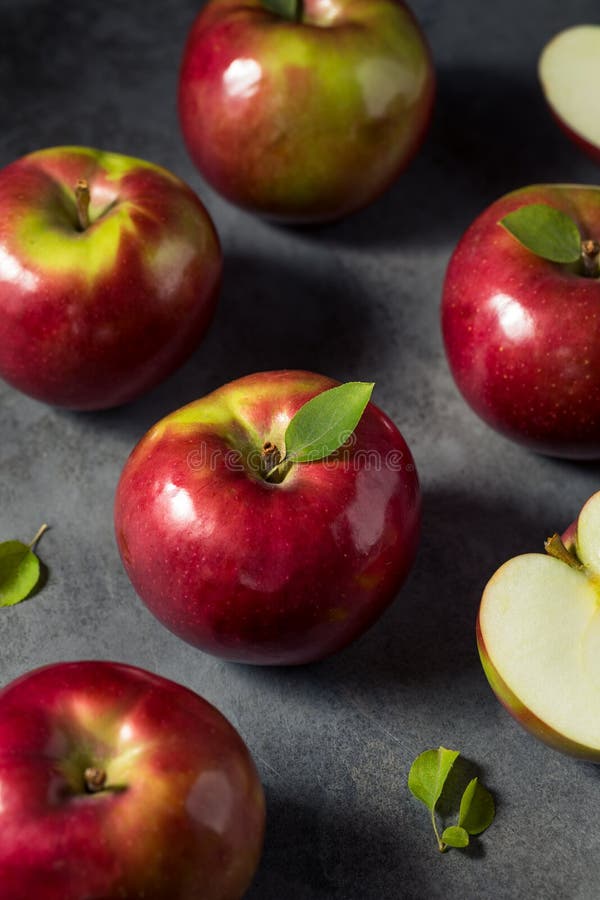 Raw Organic Red Mcintosh Apples Stock Photo - Download Image Now