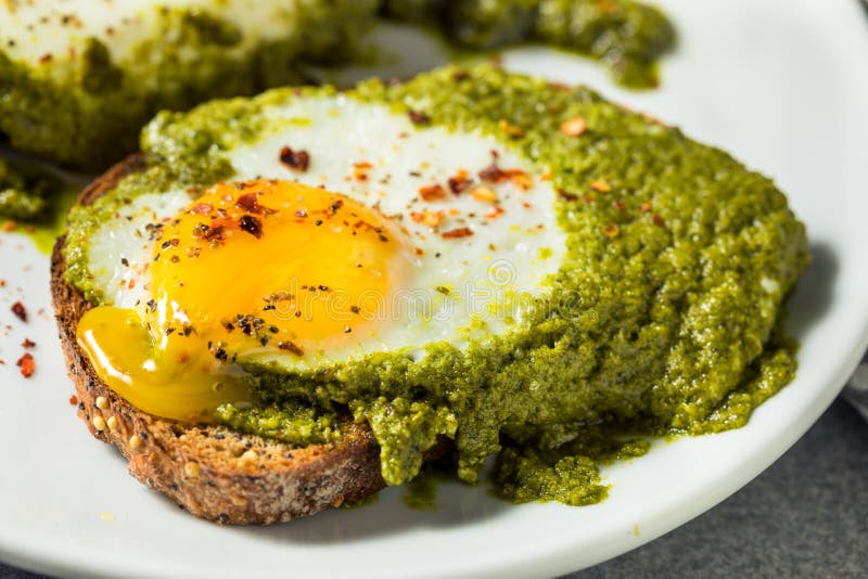 Healthy Organic Pesto Egg Toast Stock Photo Image of lunch, dish