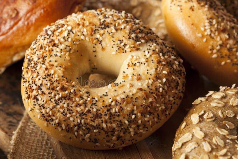 Healthy Organic Whole Grain Bagel Stock Photo Image of baked, bread