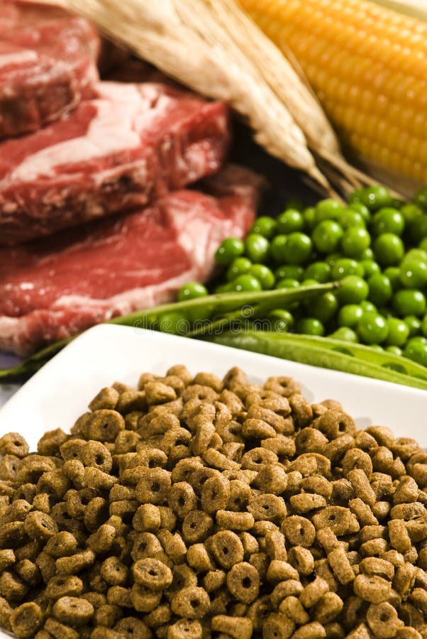 Baby Blue stock image. Image of dane, frisky, mouth, playing 2567515