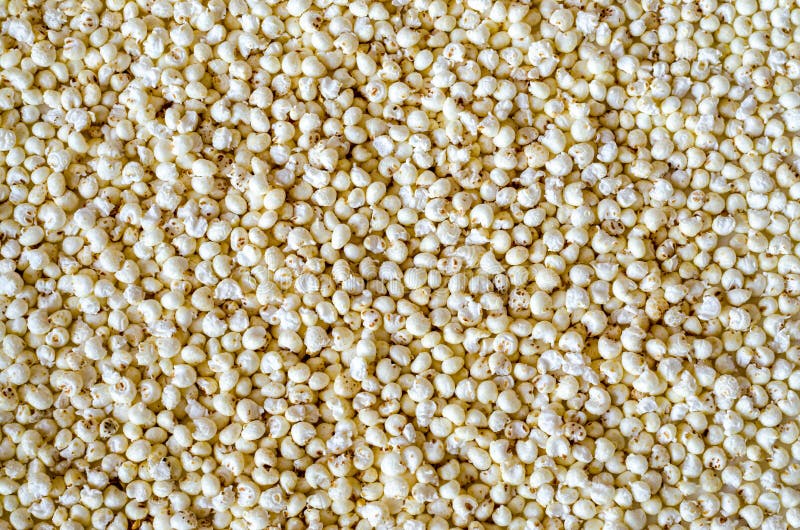 275 Puffed Millet Stock Photos Free & RoyaltyFree Stock Photos from