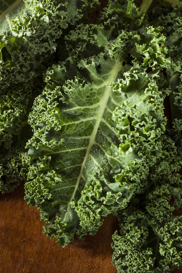 Healthy Raw Green Kale stock image. Image of vitamin 37821733