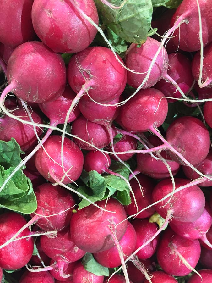 Healthy Red radish stock photo. Image of natural, fiber 63823374