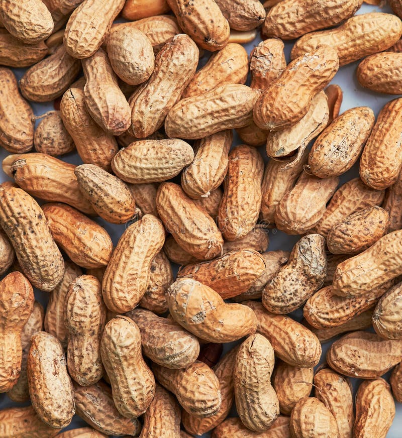 Healthy Roasted Unpeeled Peanuts Stock Photo Image of nature