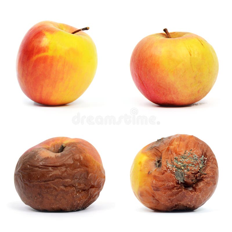 Healthy and rotten apples