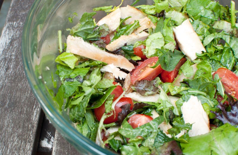 Healthy Salad with Greens and Chicken Stock Photo Image of healthy