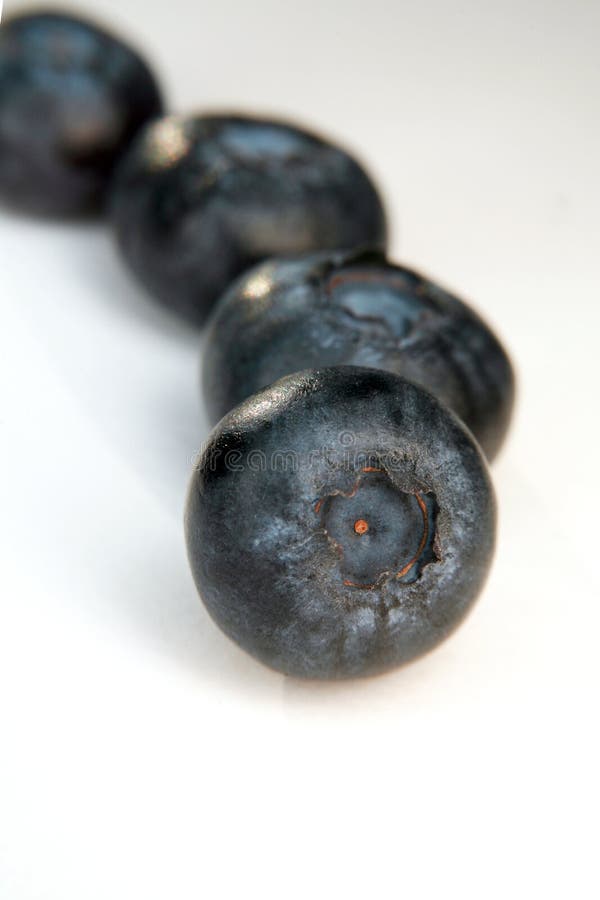 Blueberries stock photo. Image of food, juicy, dieting 21494714