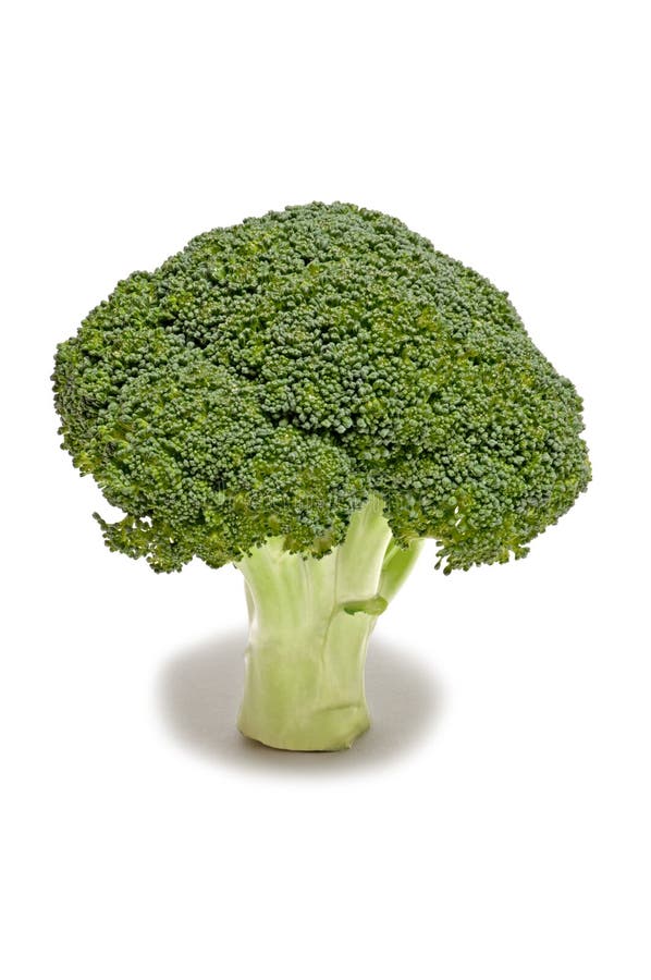 Broccoli floret