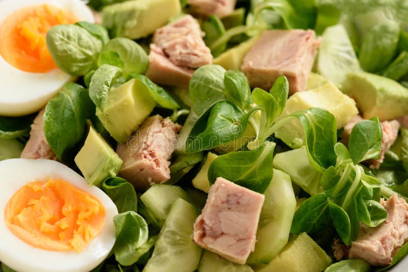 Healthy Tuna Salad with Avocado and Eggs. Stock Image Image of food, healthy 127310691