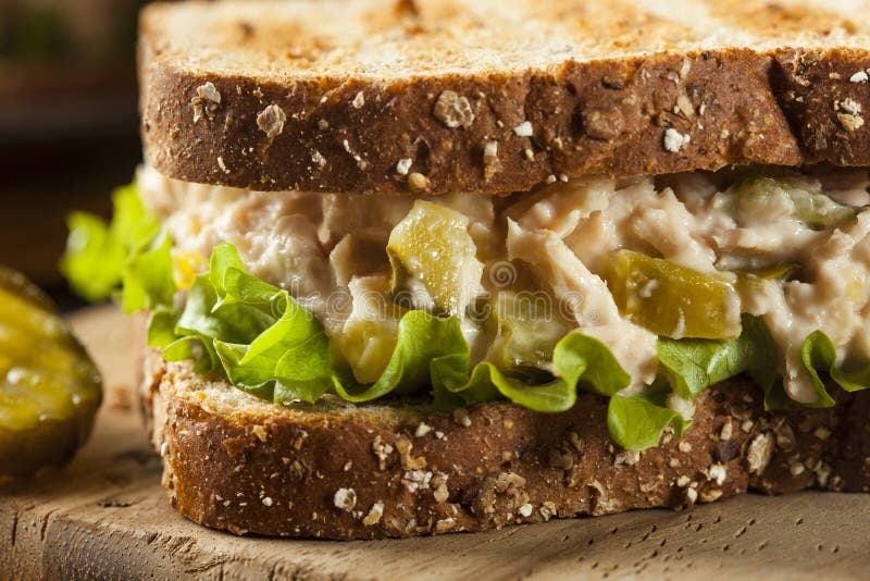 Healthy Tuna Sandwich with Lettuce Stock Image Image of pickle