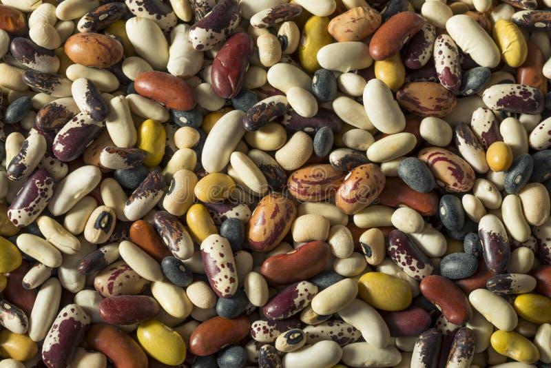 Heap of Assorted Mixed Organic Dry Beans Stock Image Image of lentil, background 101243537