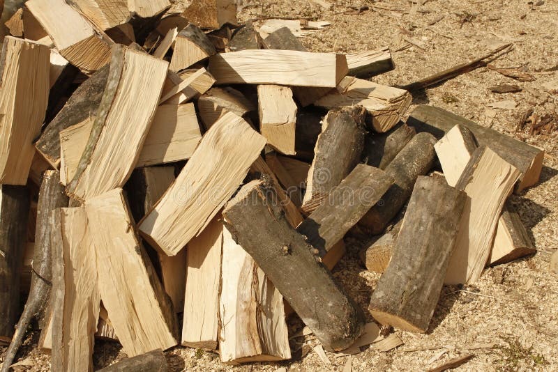 Heap of Chopped Hornbeam Firewood Stock Photo Image of large, lumber