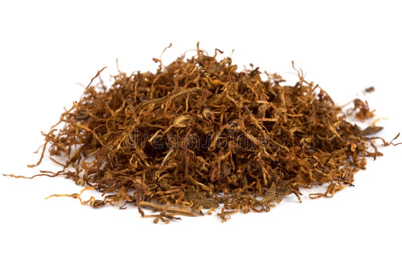 Heap of Dry Pipe Tobacco on White Stock Photo Image of lifestyle