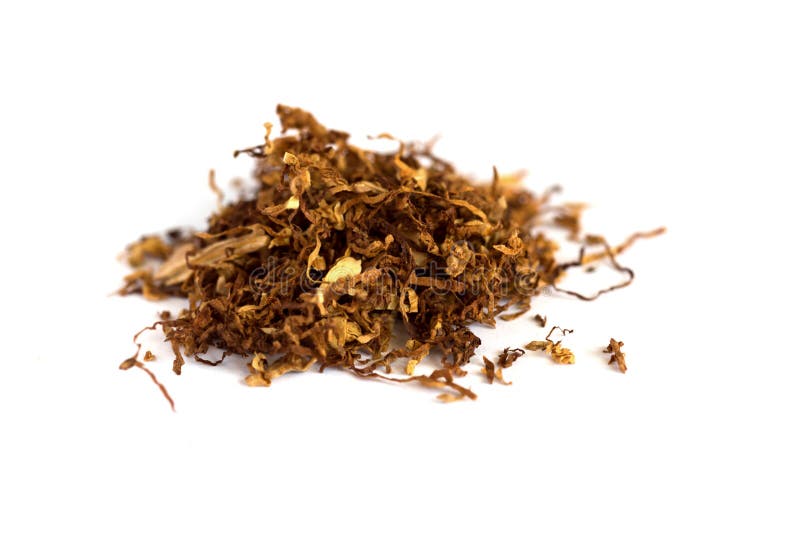 Heap of Dry Pipe Tobacco on White Stock Image Image of macro, golden