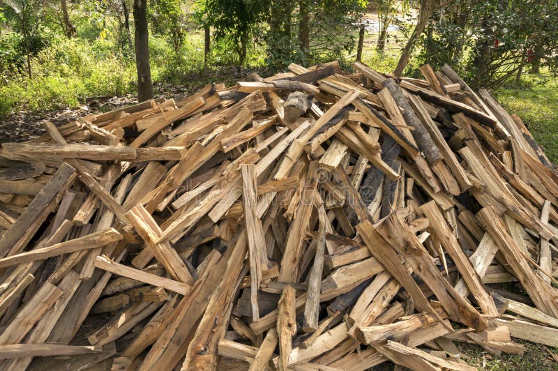 Heap of Firewood for Wood Burned As Fuel Stock Image Image of wood