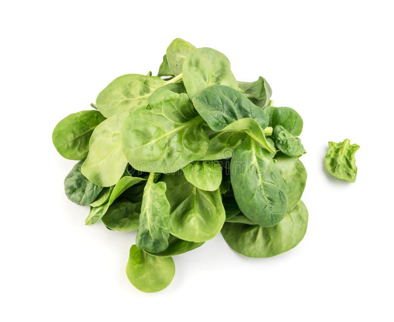 Fresh Spinach Leaves Collection Stock Photo - Image of eating, fresh