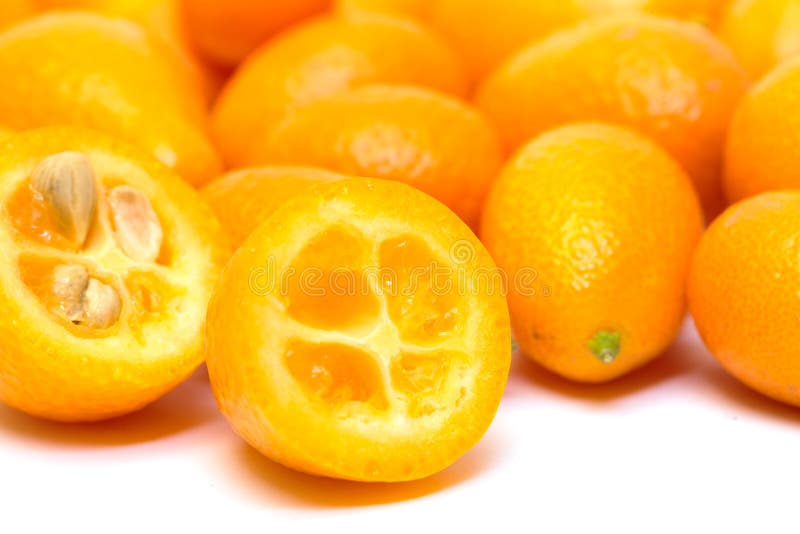 Sweet dry kumquat fruit stock photo. Image of cumcuats 36445590