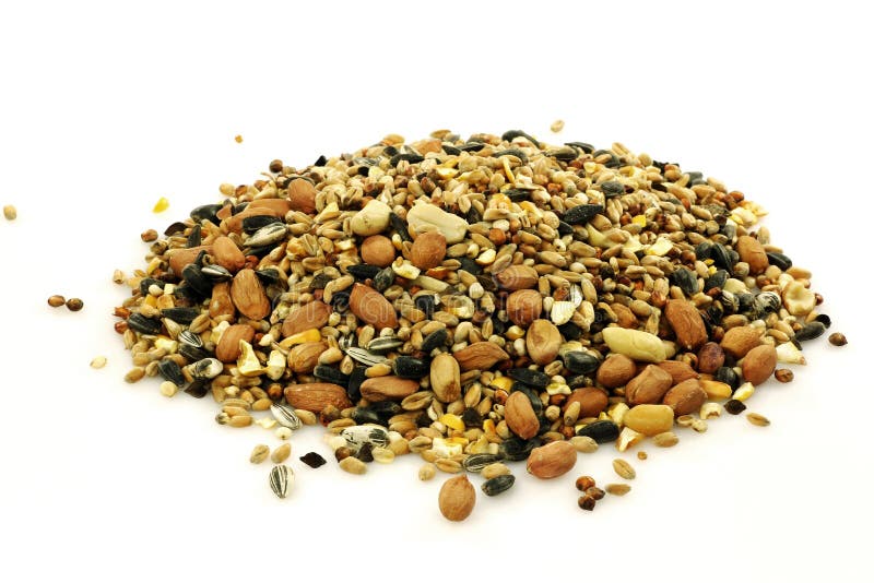 Heap of mixed bird feed stock image. Image of nourishment 17586639