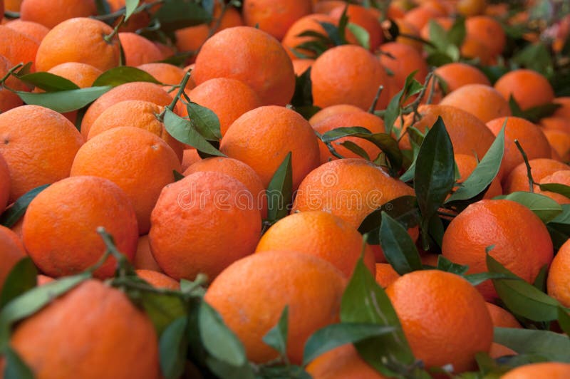 A Typical Market Stall Selling Oranges To Tourists in Marrakech. Stock