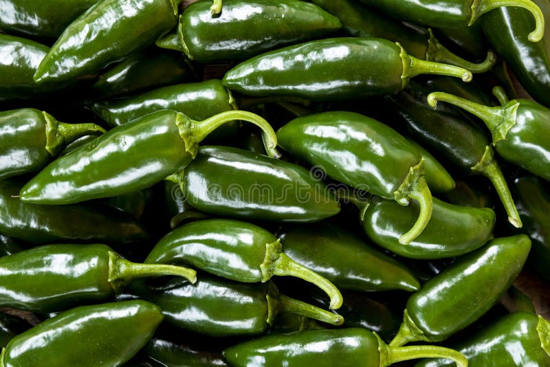 Organic Jalapeno Pepper stock image. Image of delicious 54732703