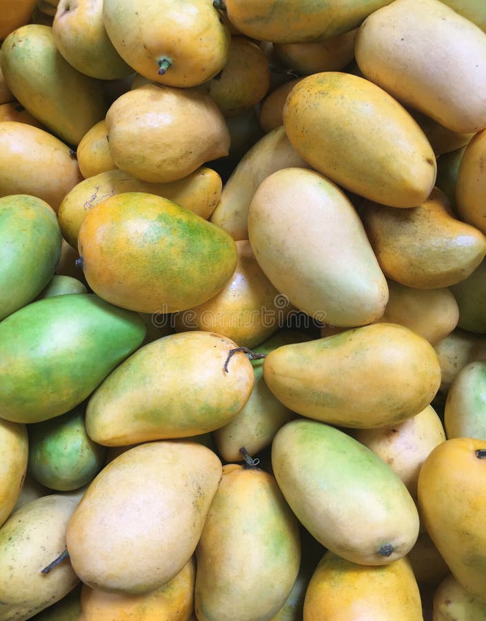 Heap of Raw Mangoes Fruits Background Stock Photo - Image of fruits ...