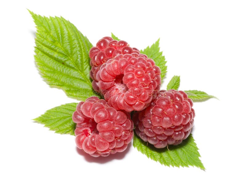 Heap of ripe raspberries