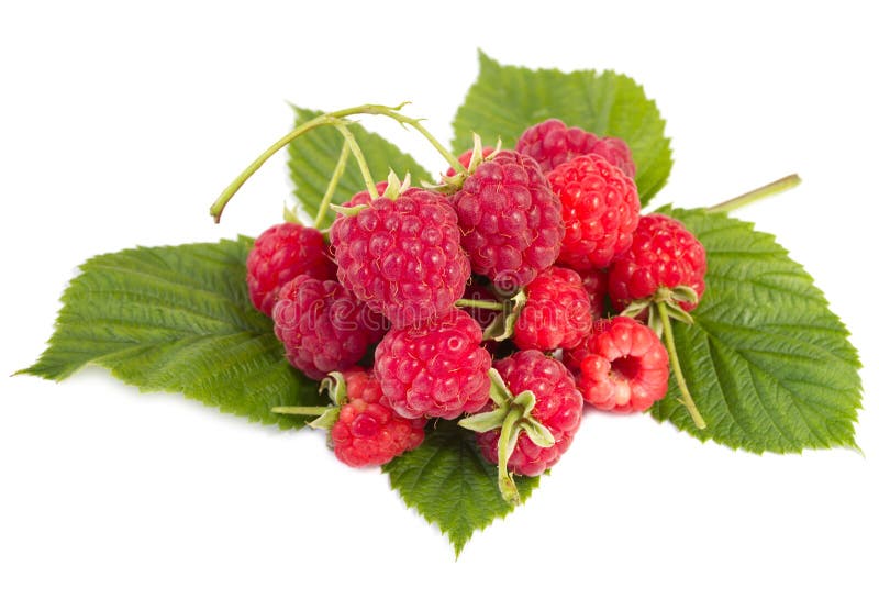 Heap of ripe raspberries