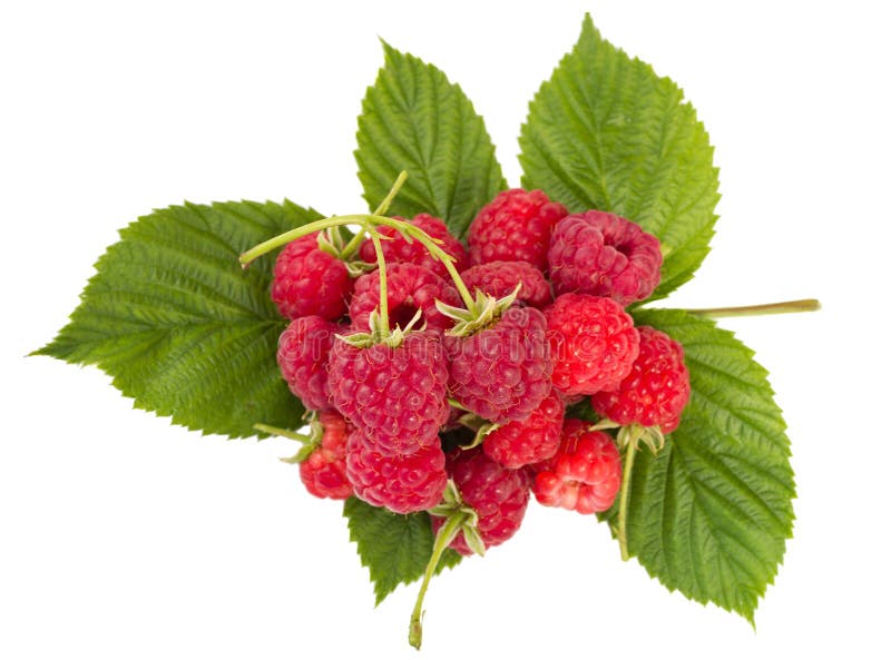 Heap of ripe raspberries