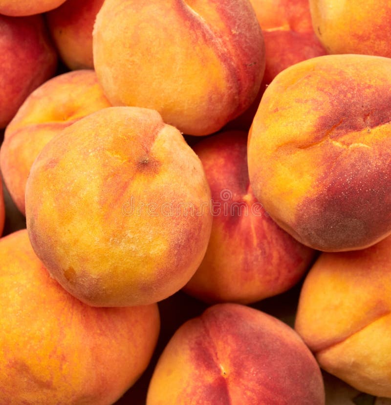 Round Peaches on White Background Stock