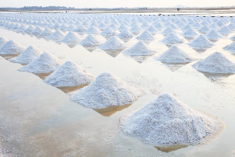 Heap of sea salt in original salt produce farm make from natural