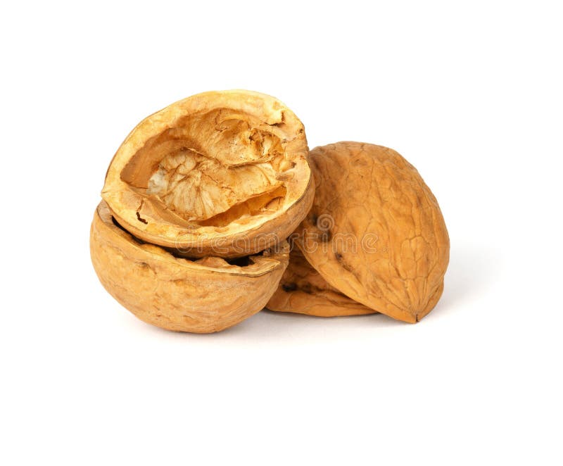 Heap of Walnut Shell Isolated on White Stock Image Image of snack