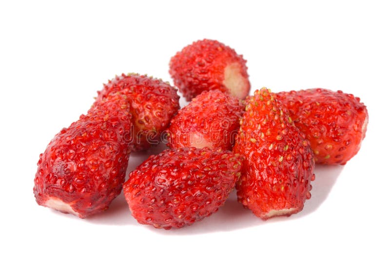 Heap of wild strawberries