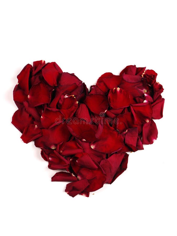 Heart royalty free stock photography